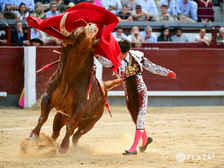 La verdad de Jarocho entre el tonelaje de Pedraza de Yeltes 1 Roberto Martín 'Jarocho', con el tercero toro de Pedraza de Yeltes. / PLAZA 1