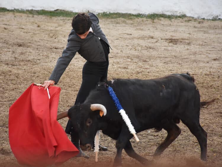 El novillero Jorge Oliva. / A.M.