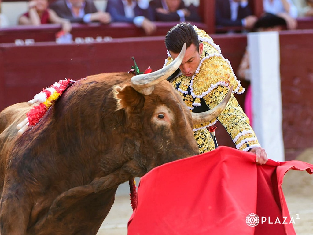 La verdad de Jarocho entre el tonelaje de Pedraza de Yeltes 3 Jose Fernando Molina
