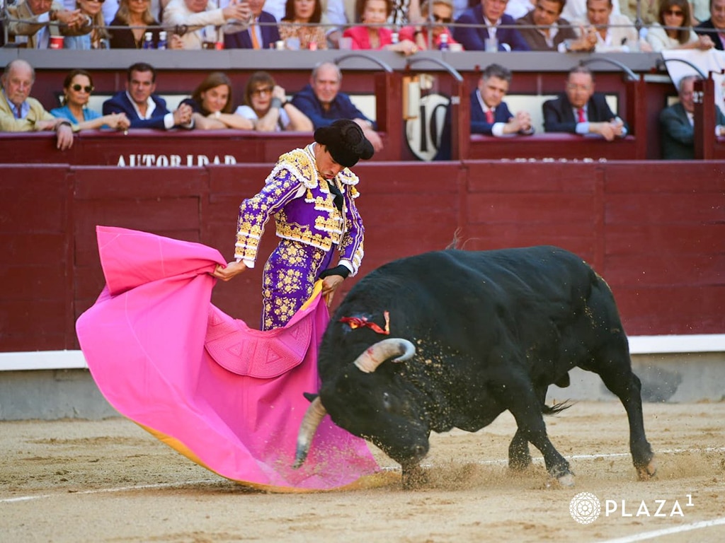Jose Maria Manzanares PLAZA 1