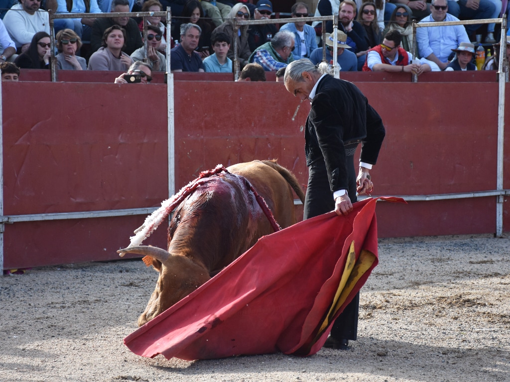 Toreo al natural de David Luguillano. / A.M.