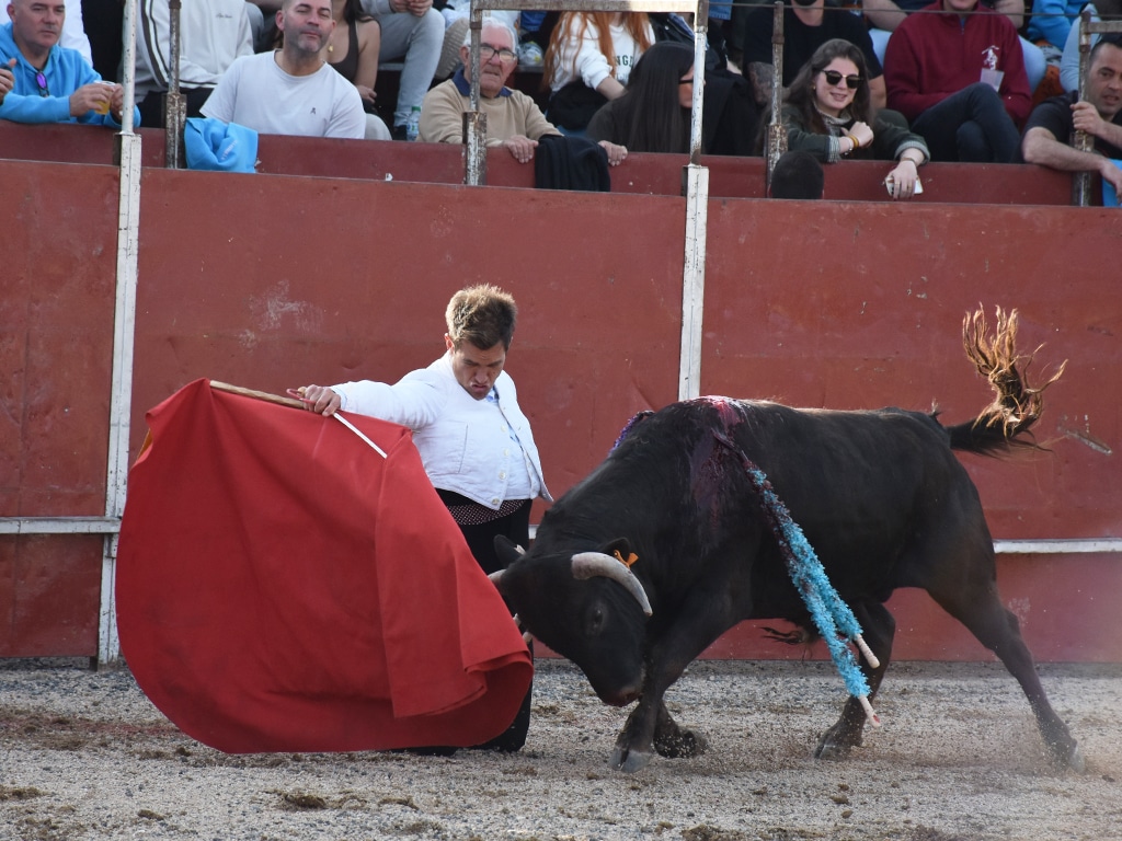 Julio Benítez ‘El Cordobes’, de rodillas ante el novillo de Cayetano de Frutos. / A.M.