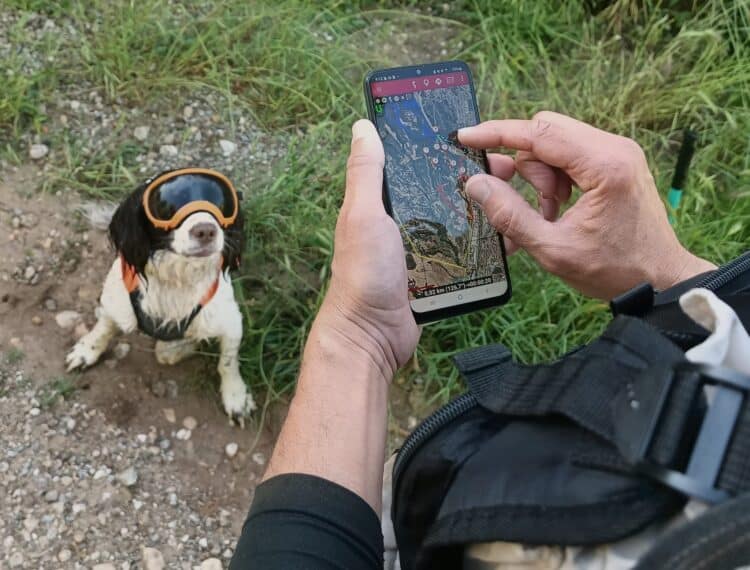 Uno de los perros ecodetectores de la Unidad Canina de Colectivo Azálvaro equipado para labores de búsqueda / COLECTIVO AZÁLVARO