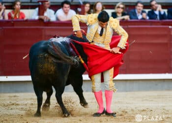 Pablo Aguado. / PLAZA 1