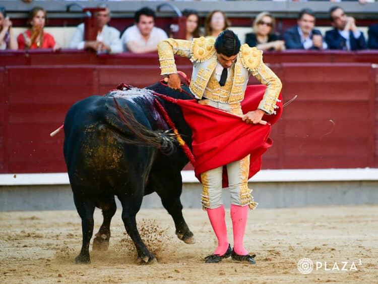 Pablo Aguado. / PLAZA 1