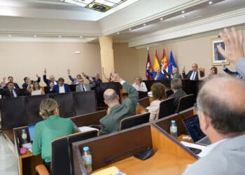 Votación del pleno provincial. / DIPUTACIÓN DE SEGOVIA
