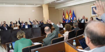 Votación del pleno provincial. / DIPUTACIÓN DE SEGOVIA