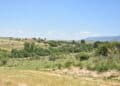 Entorno por donde transcurre el río Ciguiñuela, entre El Sotillo y San Cristóbal de Segovia. / EL ADELANTADO