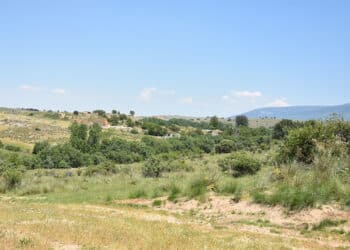 Entorno por donde transcurre el río Ciguiñuela, entre El Sotillo y San Cristóbal de Segovia. / EL ADELANTADO