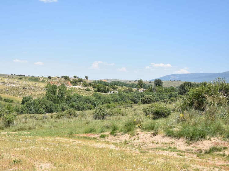 Entorno por donde transcurre el río Ciguiñuela, entre El Sotillo y San Cristóbal de Segovia. / EL ADELANTADO