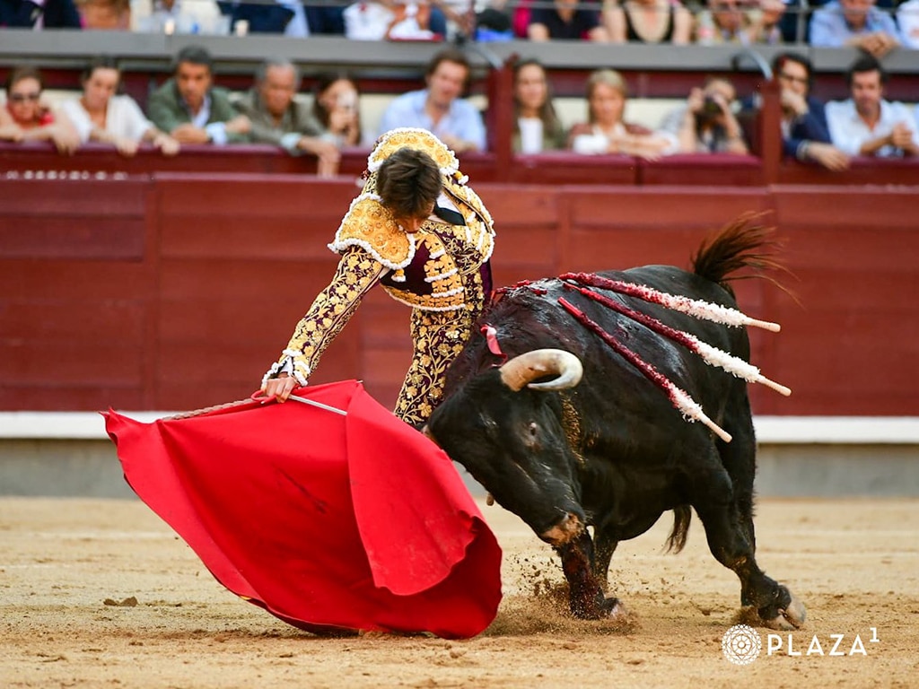 Roca Rey PLAZA 1