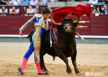 Pase de pecho del diestro francés Sebastián Castella al toro ‘Cantaor’, de la ganadería de Victoriano del Río. / PLAZA 1