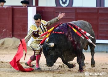 Tomás Rufo con un toro de La Quinta. / PLAZA 1
