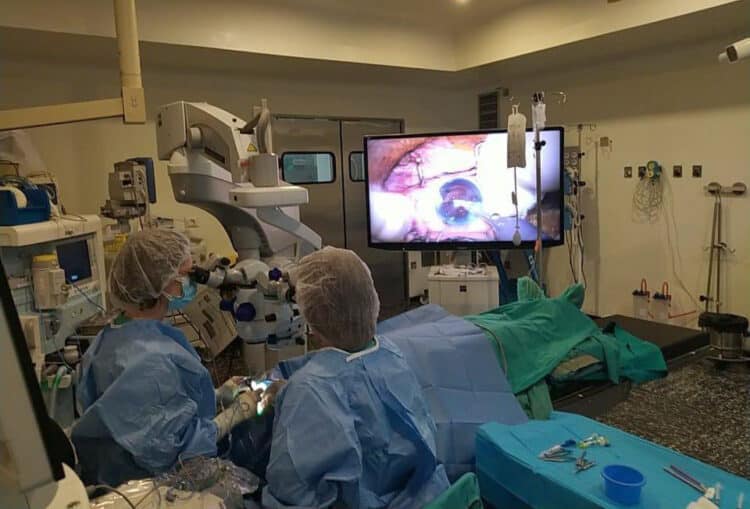 Los hospitales de la Comunidad realizaron un total de 261 trasplantes en 2025.