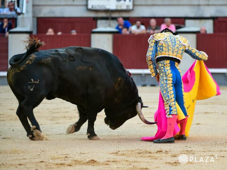 Toreo a la verónica de Diego Urdiales. / PLAZA 1