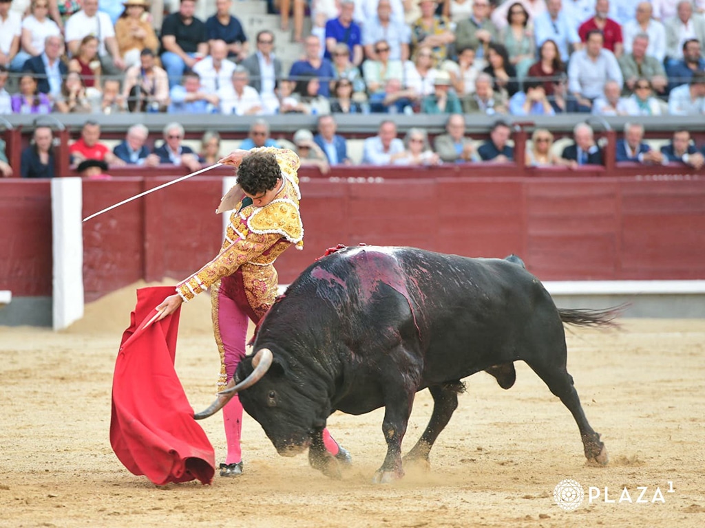Competencia por el cetro de Madrid 3 Victor Hernandez PLAZA 1