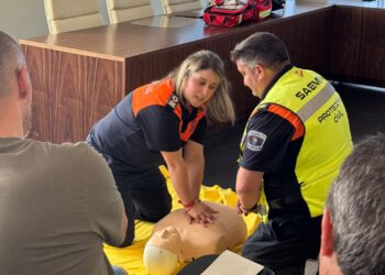 Curso de primeros auxilios / AYTO. DE SAN CRISTÓBAL DE SEGOVIA