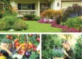 Los jardines diseñados con especies adaptadas al clima, y los jardines comestibles u olorosos son las tendencias para 2026. / MAGNIFIC