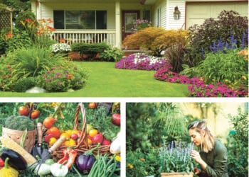 Los jardines diseñados con especies adaptadas al clima, y los jardines comestibles u olorosos son las tendencias para 2026. / MAGNIFIC