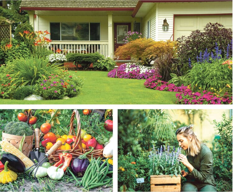 Los jardines diseñados con especies adaptadas al clima, y los jardines comestibles u olorosos son las tendencias para 2026. / MAGNIFIC