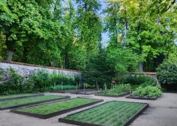 Jardín de la Real Botica de La Granja / PATRIMONIO NACIONAL