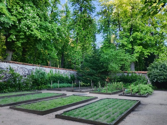 Jardín de la Real Botica de La Granja / PATRIMONIO NACIONAL