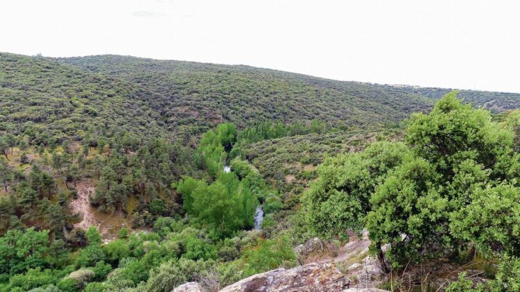 El río Pirón a su paso por la senda. / Antonio FG