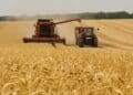 La falta de rentabilidad está poniendo contra las cuerdas al principal motor agrario de la provincia. Y esto ocurre precisamente en una tierra donde el cereal sigue siendo el gran protagonista. /UNIÓN DE UNIONES