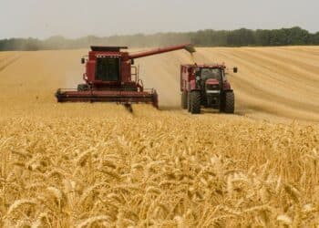 La falta de rentabilidad está poniendo contra las cuerdas al principal motor agrario de la provincia. Y esto ocurre precisamente en una tierra donde el cereal sigue siendo el gran protagonista. /UNIÓN DE UNIONES