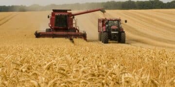 La falta de rentabilidad está poniendo contra las cuerdas al principal motor agrario de la provincia. Y esto ocurre precisamente en una tierra donde el cereal sigue siendo el gran protagonista. /UNIÓN DE UNIONES