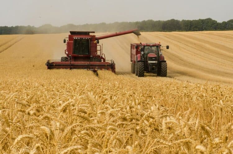 La falta de rentabilidad está poniendo contra las cuerdas al principal motor agrario de la provincia. Y esto ocurre precisamente en una tierra donde el cereal sigue siendo el gran protagonista. /UNIÓN DE UNIONES